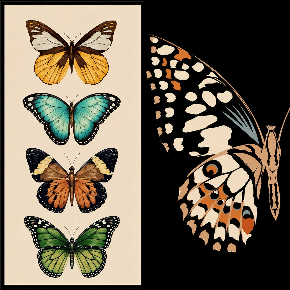 Midnight Butterfly - Cotton