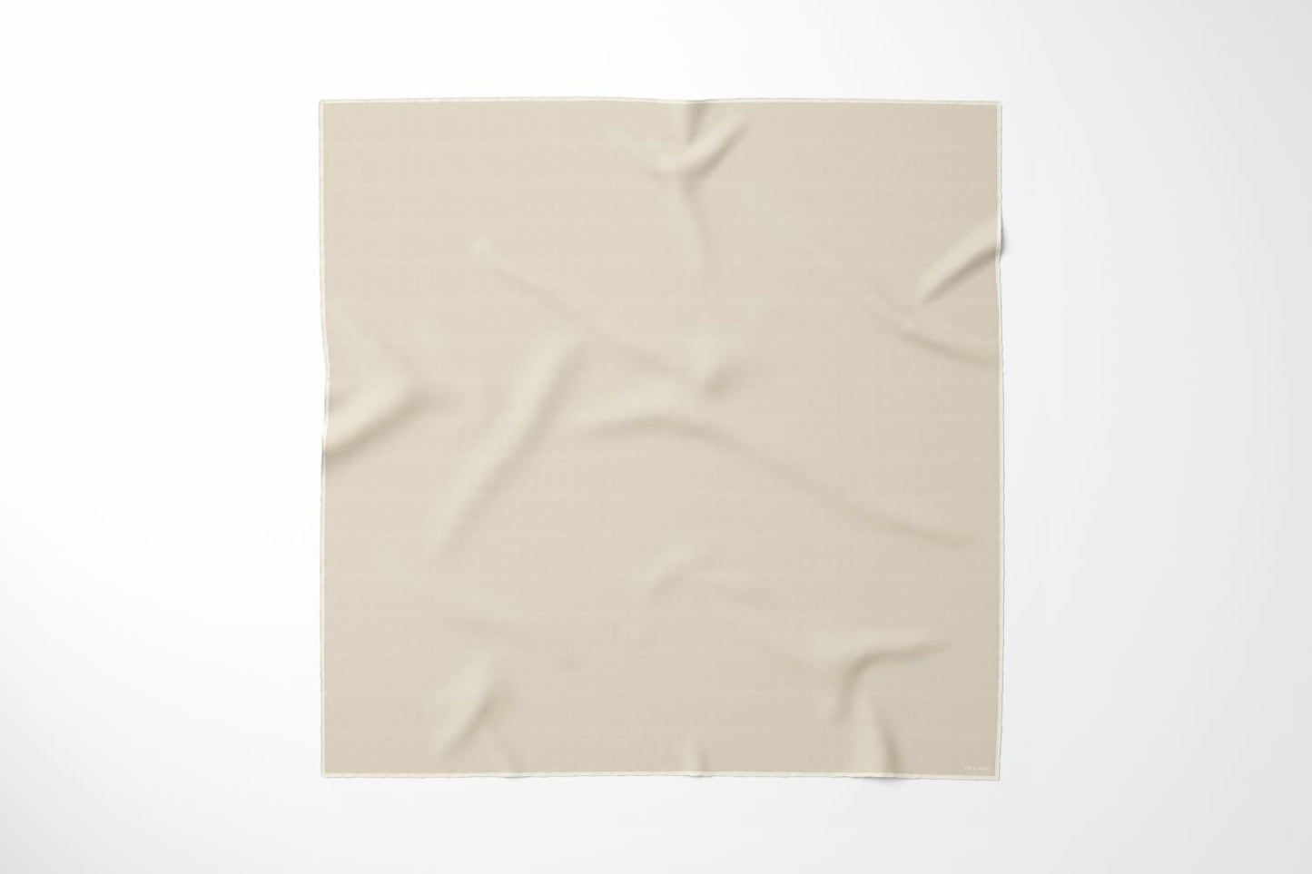 Classic - Champagne with Ivory Silk Scarf